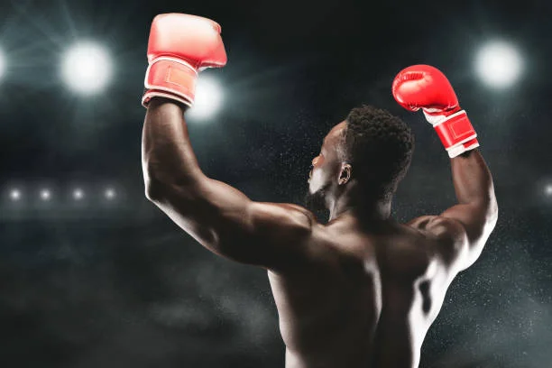 pg体育重量级拳击选手赵雷霆庆祝胜利